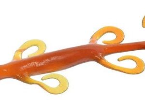 Zoom Lizard 8" - Motoroil