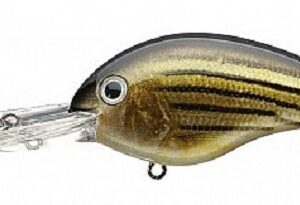Strike King Pro Model 5XD Series Crankbait Barfish
