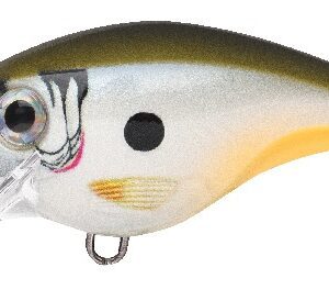 Rapala BX Brat 06 - Change Up