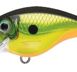 Rapala BX Brat 06 - Homer's Buddy