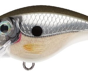 Rapala BX Brat 06 - Pearl Grey Shiner