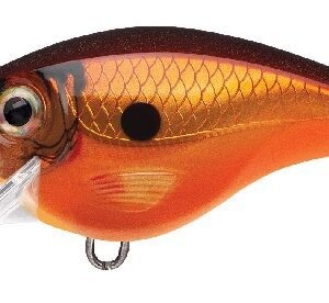 Rapala BX Brat 06 - Tamale