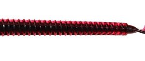 Zoom Dead Ringer 4" - Red Black Core