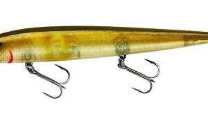 Smithwick Perfect 10 Rogue - Ayu