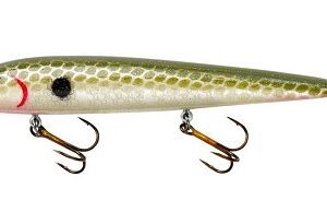 Smithwick Suspending Rattlin Rogue - Avocado Shad