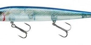 Smithwick Perfect 10 Rogue - Blue Back Herring