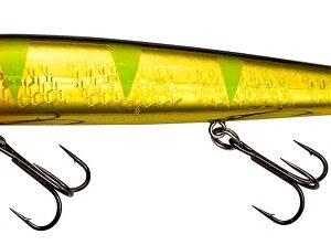 Smithwick Perfect 10 Rogue - Carrot