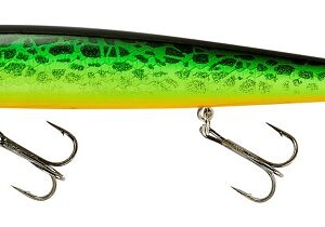 Smithwick Perfect 10 Rogue - Lacy Tiger