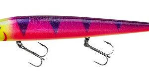 Smithwick Perfect 10 Rogue - Marvin