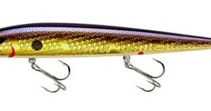 Smithwick Perfect 10 Rogue - Sour Grape