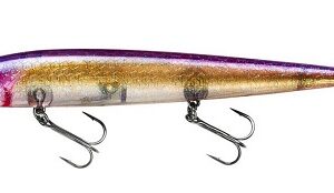 Smithwick Perfect 10 Rogue - Table Rock Gold