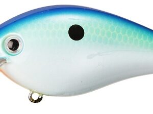 Strike King KVD 2.5 Squarebill Silent Crankbait Citrus Shad
