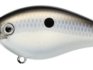 Strike King KVD 2.5 Squarebill Silent Crankbait Gizzard Shad