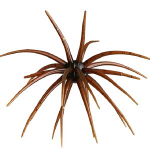 Durhams Tackle Small Tentacle Urchin - Scuppernong