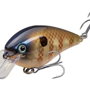Strike King KVD 1.5 Squarebill Hard Knock Crankbait Bluegill