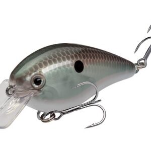 Strike King KVD 1.5 Squarebill Hard Knock Crankbait Green Gizzard Shad
