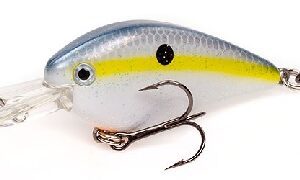 Strike King KVD 1.5 Flat Side Crankbait Sexy Shad