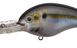 Strike King Pro Model 6XD Series Crankbait Natural Shad