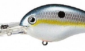 Strike King Pro Model 6XD Series Crankbait Sexy Shad