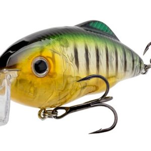 Strike King Hybrid Hunter Crankbait- Phantom Perch